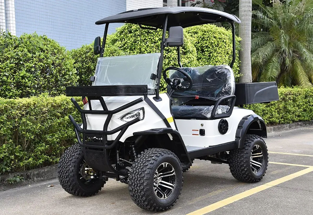 2 Seats Mini Utility Electric Golf Cart