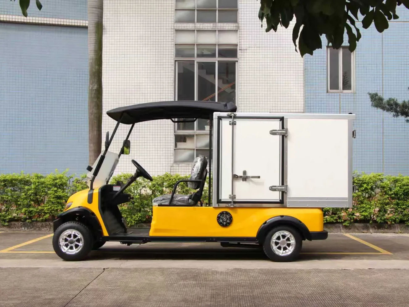 2 Seats Multi-Purpose Electric Vehicle Golf Cart
