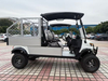 2 Seats Utility Electric Golf Cart With Cargo Box