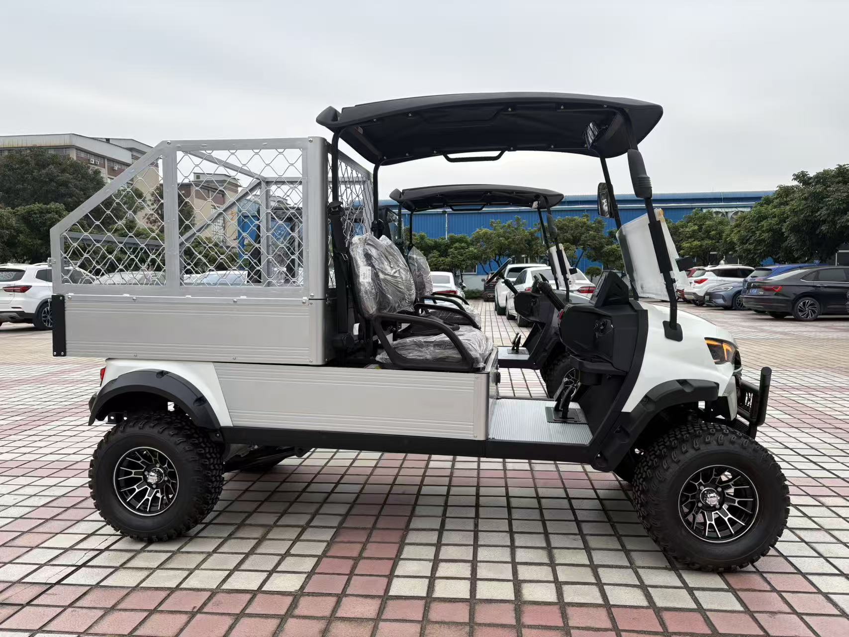 2 Seats Utility Electric Golf Cart With Cargo Box