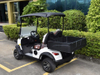 2 Seats Mini Truck Utility Electric Golf Cart
