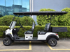 4 Seats Mini Truck Utility Golf Cart