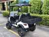 2 Seats Mini Utility Electric Golf Cart
