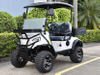 2 Seats Mini Utility Electric Golf Cart