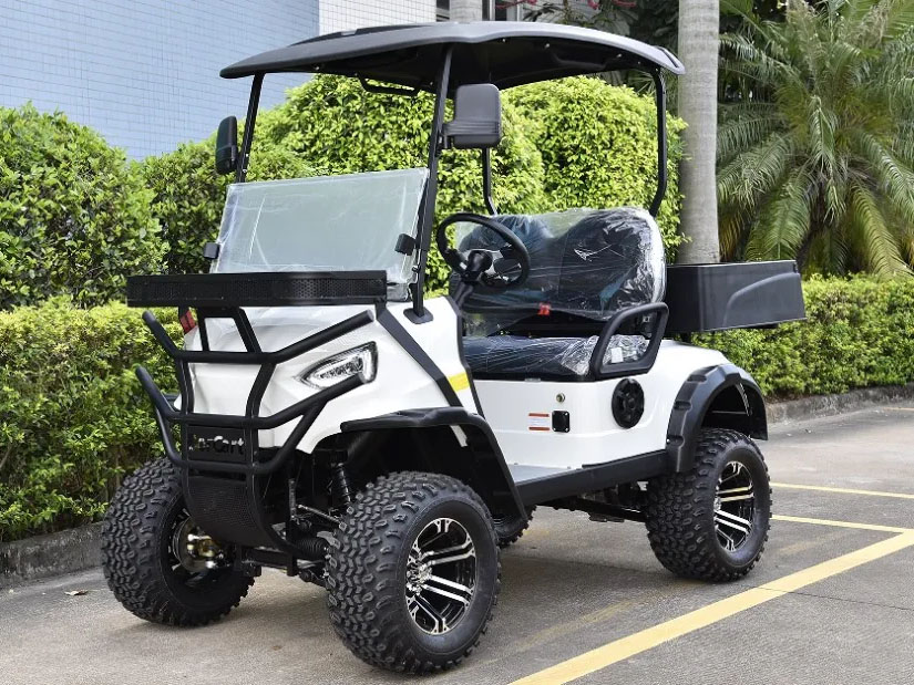 2 Seats Mini Utility Electric Golf Cart
