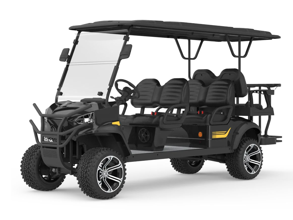 6 Passenger Electric Golf Cart
