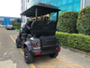48V Lithium Battery Golf Cart