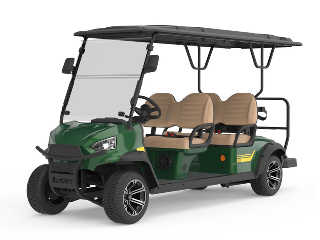 4 Passenger Golf Buggy Cart