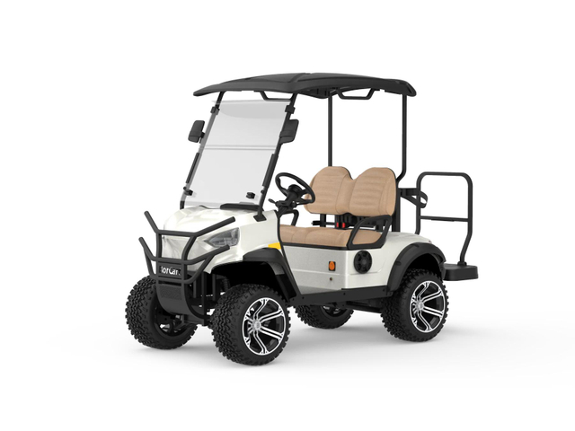 2 Seater Off Road Golf Cart