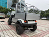 2 Seats Utility Electric Golf Cart With Cargo Box