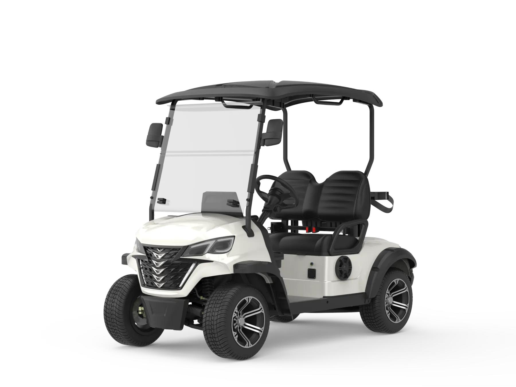 2 Person Electric Mini Golf Cart