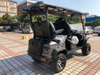 48V Lithium Battery Golf Cart