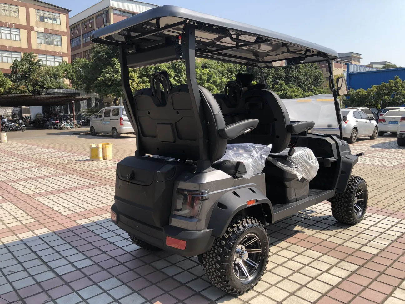 48V Lithium Battery Golf Cart