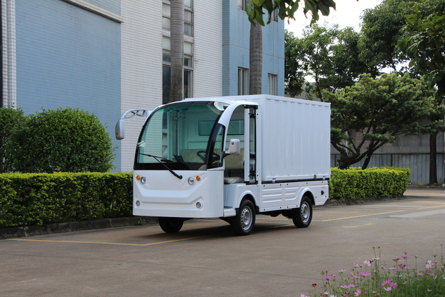 2 Seats Electric Cargo Van with Iron Cargo Body