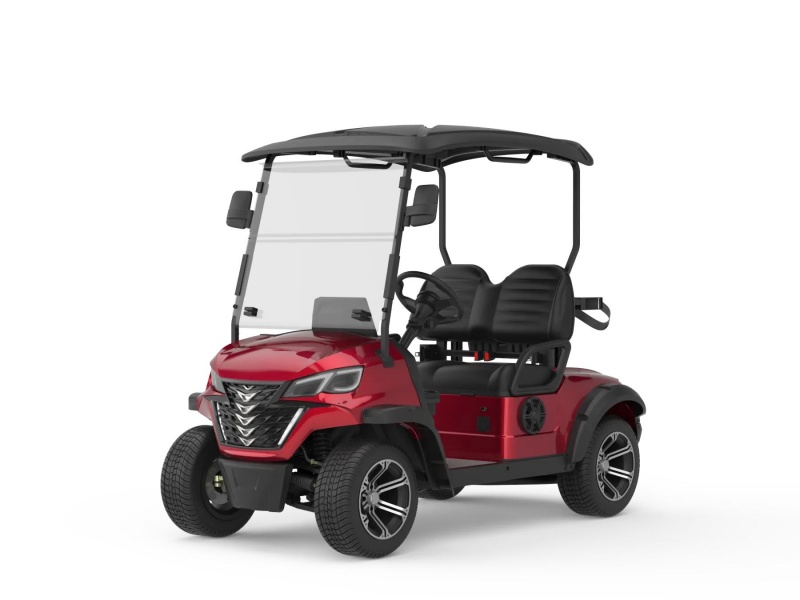 2 Seats Golf Carts