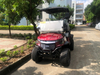 2 Passengers Golf Cart for Golf Course