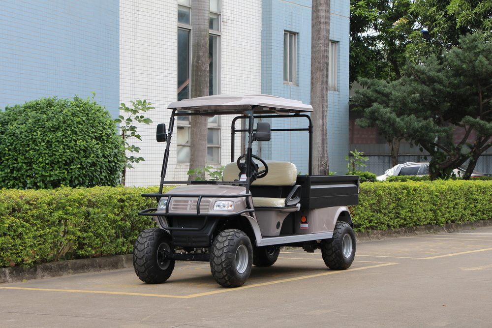 2 Seats Electric Cargo Truck with Iron Box