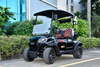 5KW Motor 2 Seaters Golf Cart