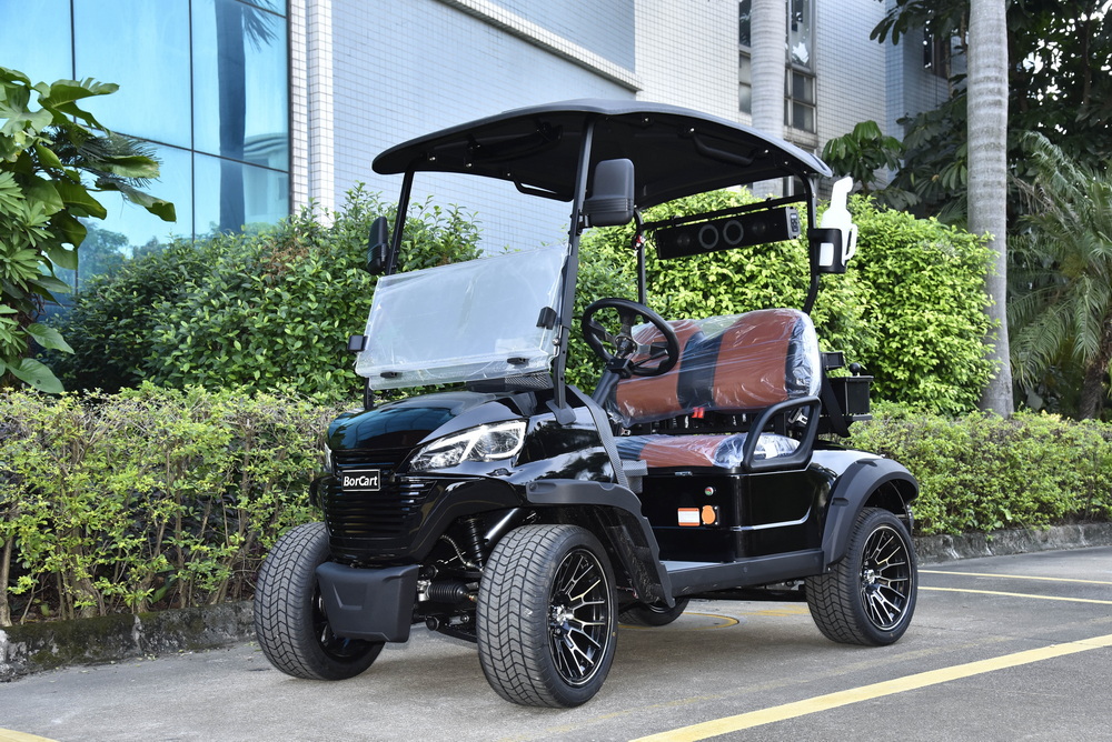 5KW Motor 2 Seaters Golf Cart (6)