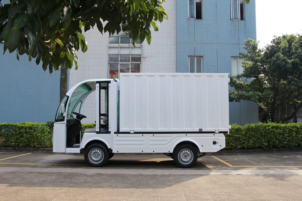 2 Seats Electric Cargo Van with Iron Cargo Body