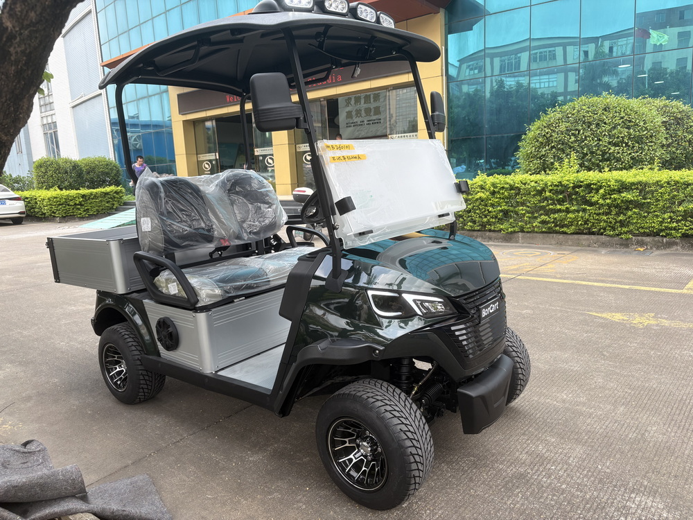 2 Seats Electric Truck