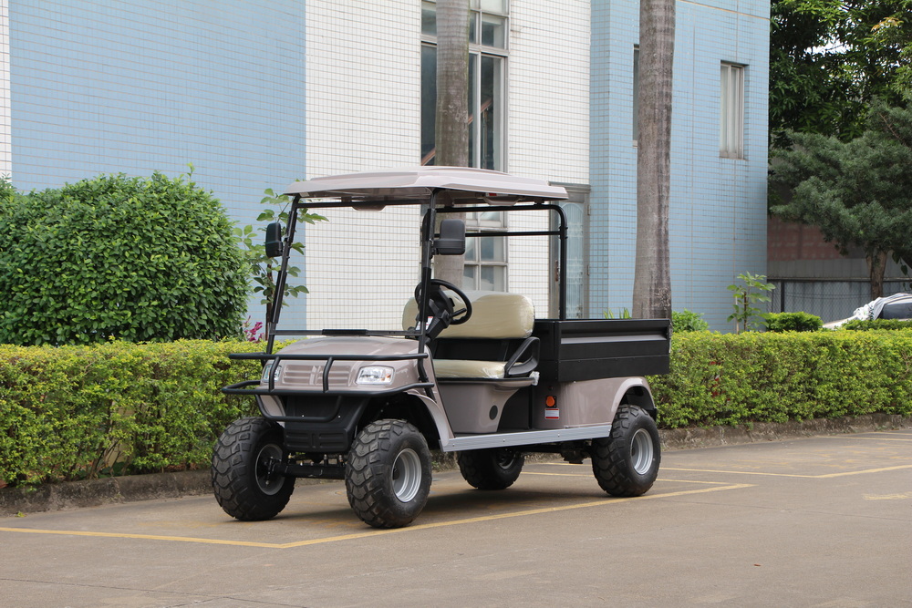 2 Seats Electric Cargo Truck with Iron Box