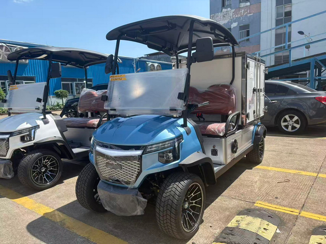 2 Seats Mini Truck