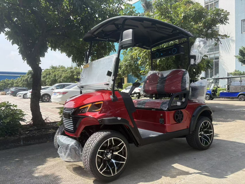 5KW Motor 2 Seaters Golf Cart (4)