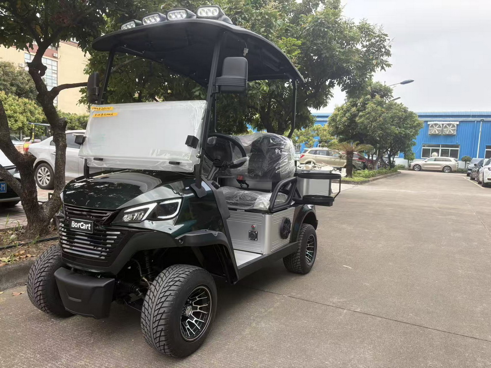 2 Seats Electric Truck