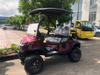 2 Passengers Golf Cart for Golf Course