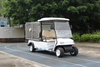 2 Seats Electric Cargo Van with Stainless Steel Box