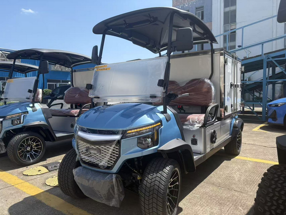 2 Seats Mini Truck