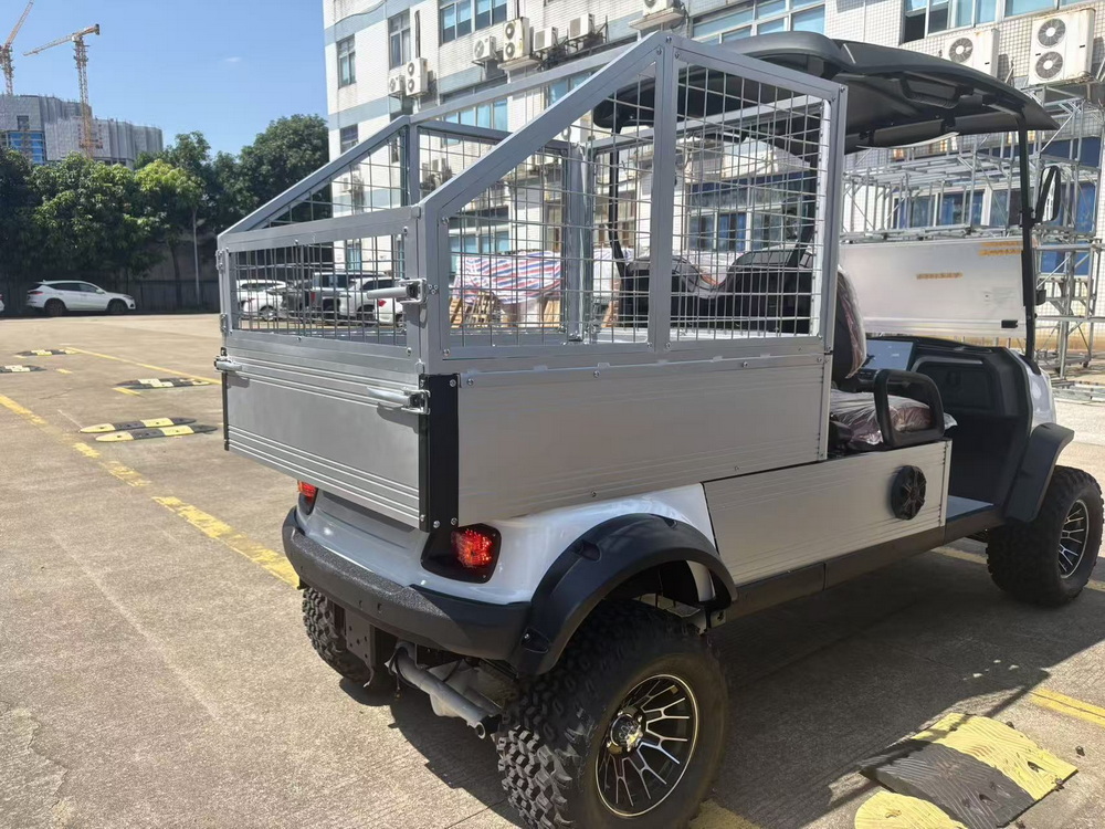 2 Seats Cart with Cargo Cage