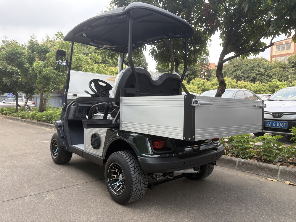 2 Seats Electric Truck