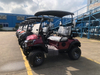 2 Passengers Golf Cart for Golf Course