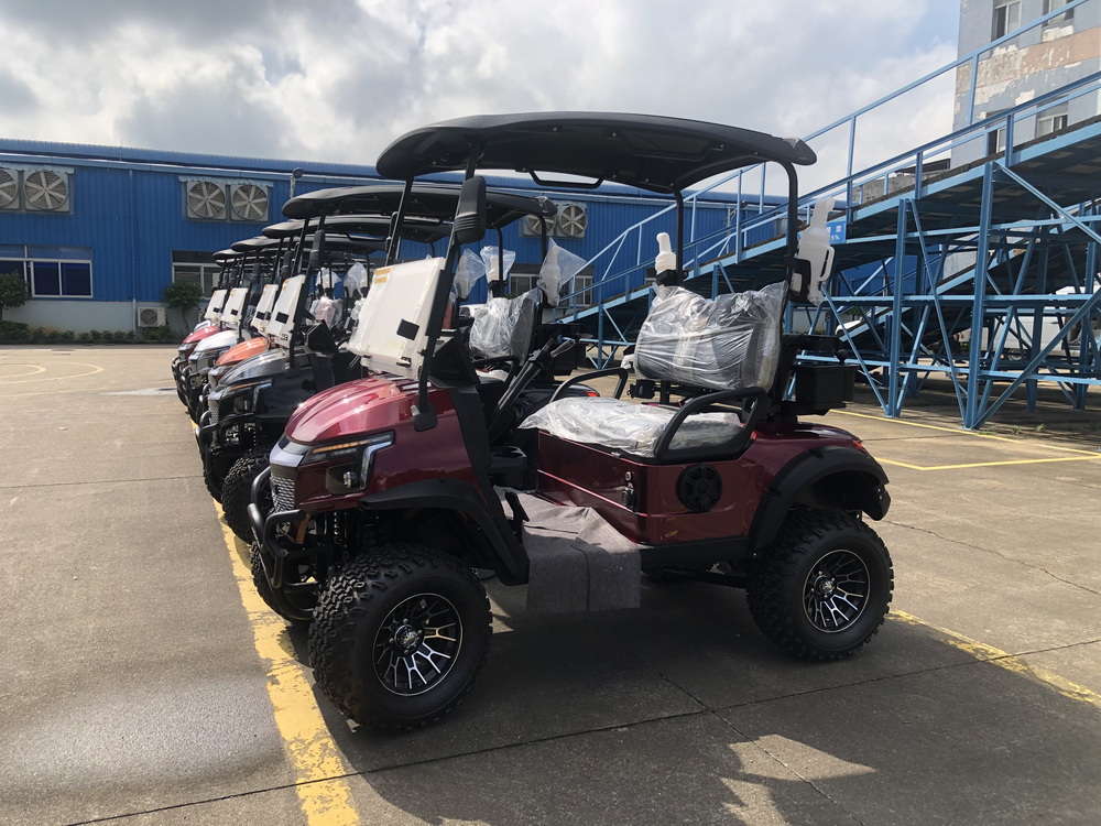 2 Passengers Golf Cart for Golf Course (6)