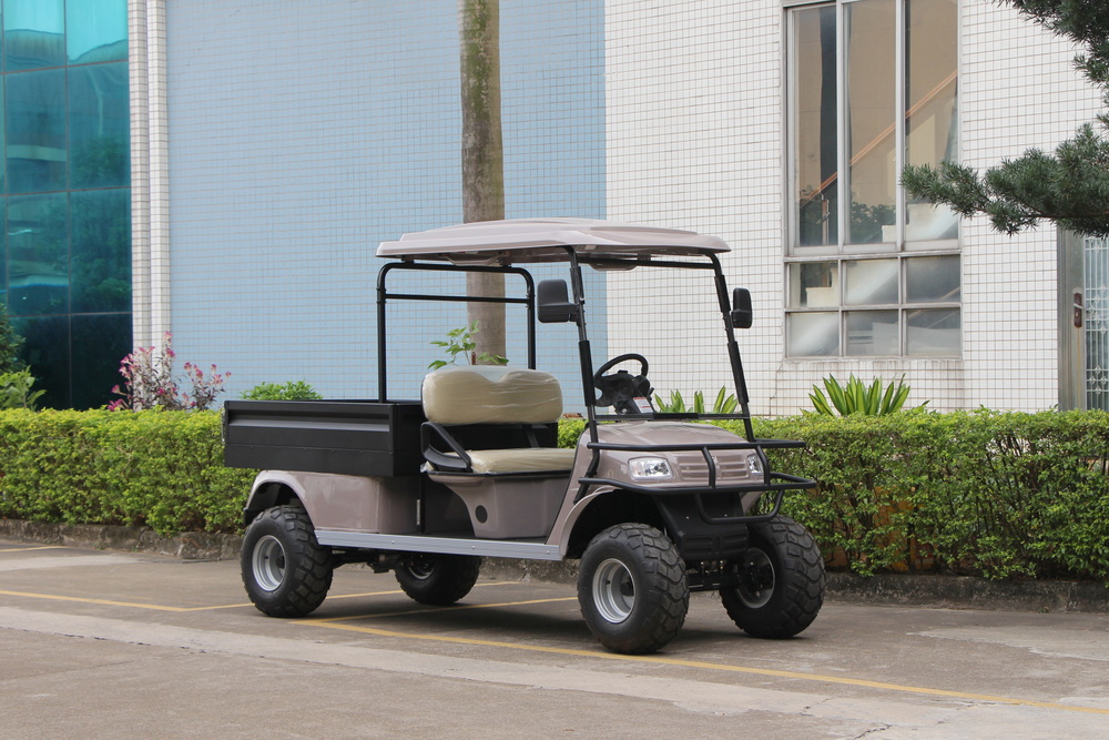 2 Seats Electric Cargo Truck with Iron Box