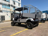 2 Seats Cart with Cargo Cage