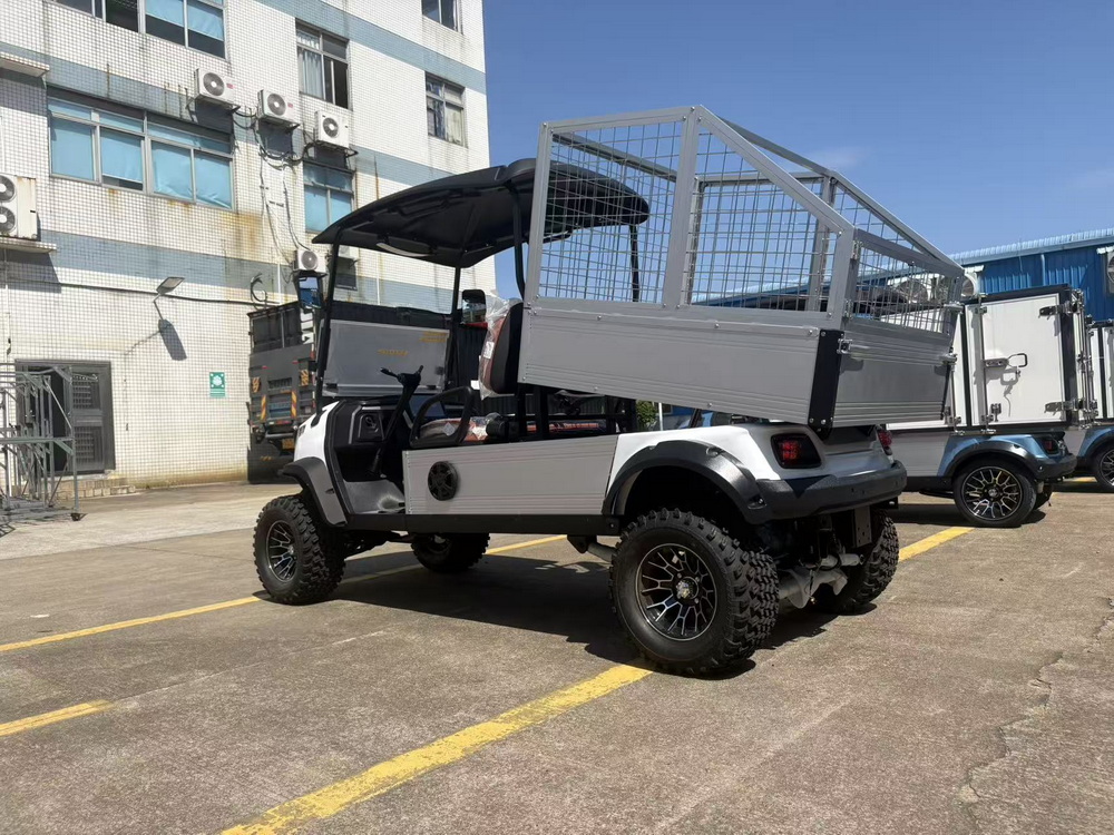 2 Seats Cart with Cargo Cage
