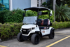 5KW Motor 2 Seaters Golf Cart