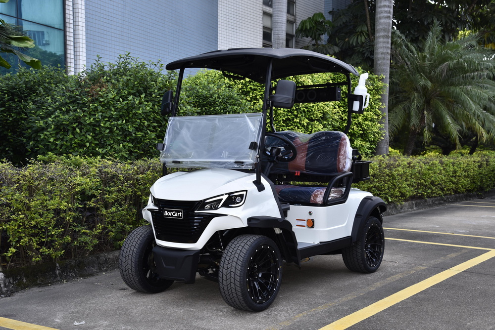 5KW Motor 2 Seaters Golf Cart (3).jpg