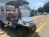 2 Seats Cart with Cargo Cage
