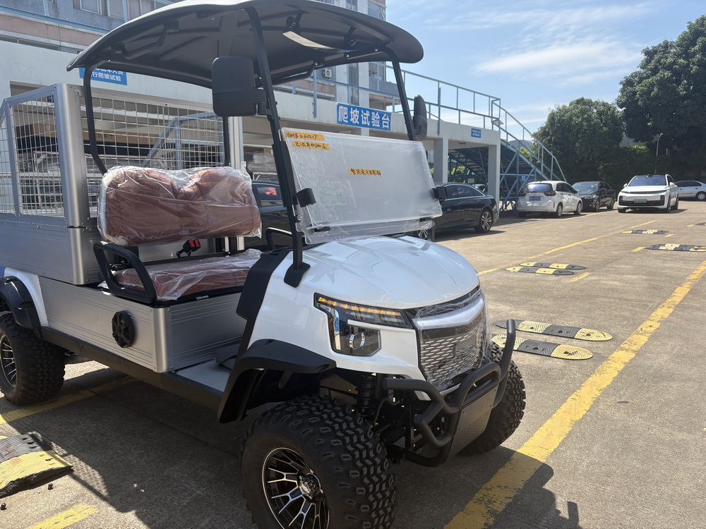 2 Seats Cart with Cargo Cage