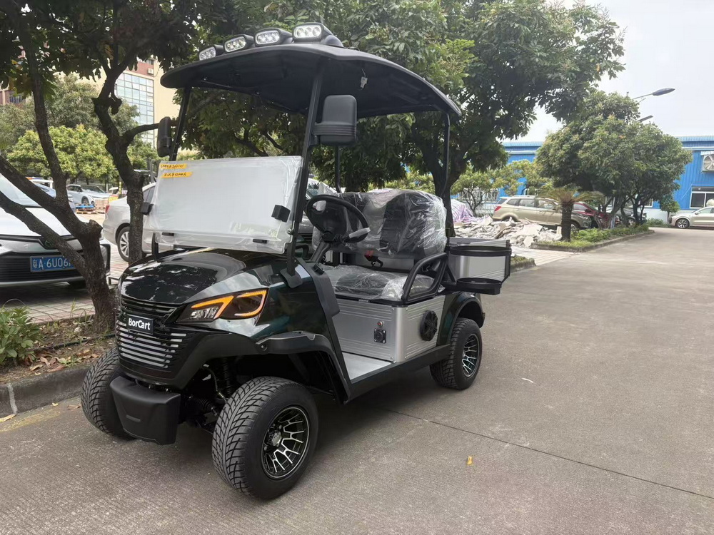 2 Seats Electric Truck