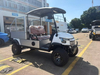 2 Seats Cart with Cargo Cage