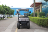 2 Seats Electric Cargo Truck with Iron Box
