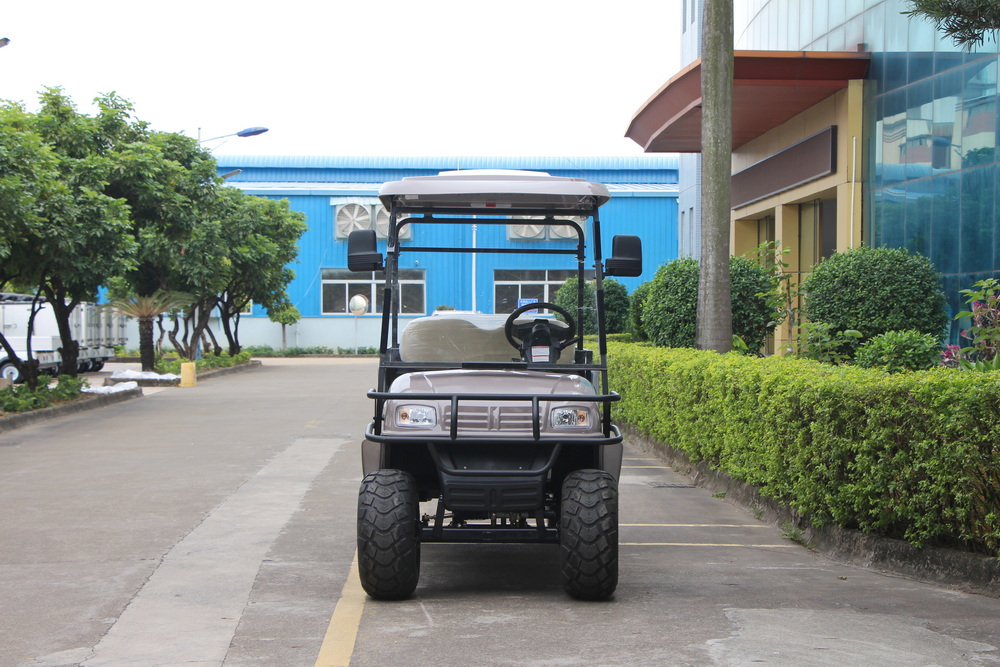 2 Seats Electric Cargo Truck with Iron Box
