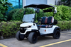 5KW Motor 2 Seaters Golf Cart