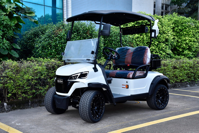 Carrello da golf a 2 posti con motore 5KW