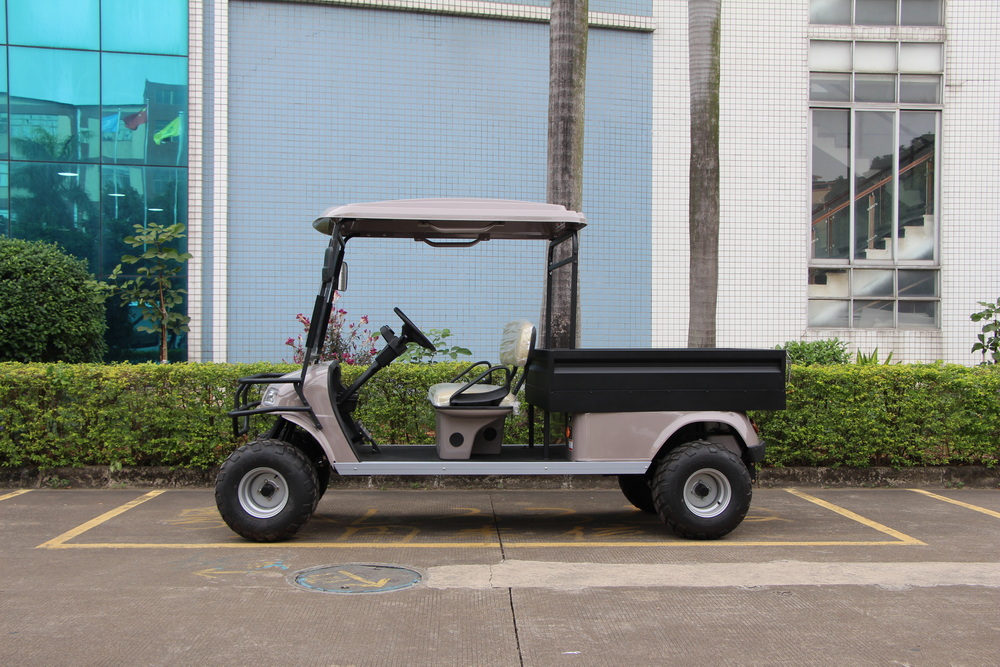 2 Seats Electric Cargo Truck with Iron Box
